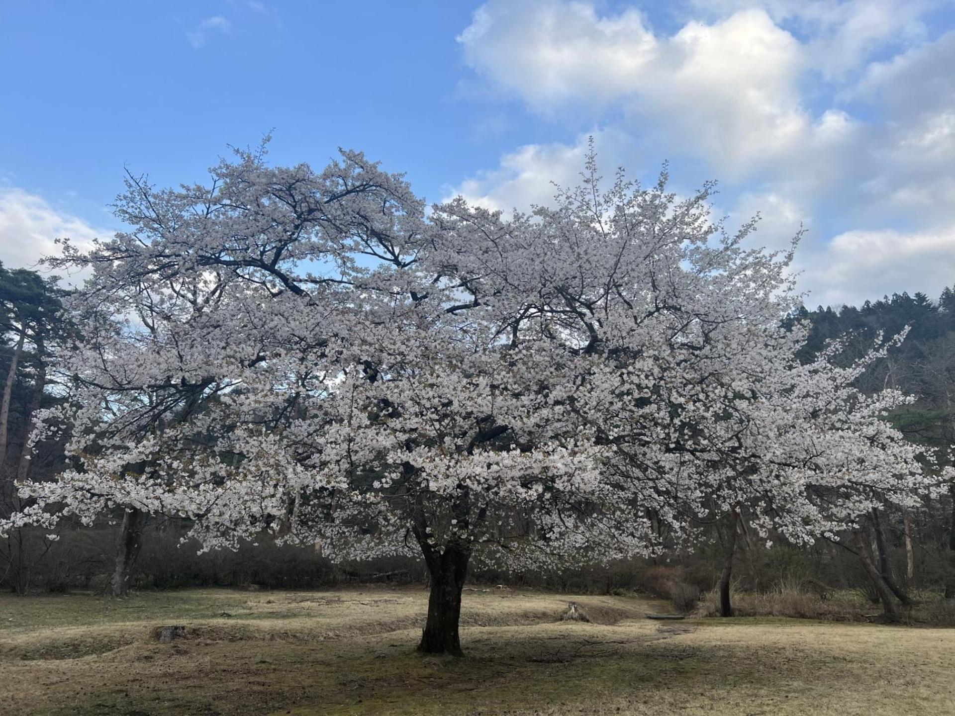 Kinugawa Keisui 호텔 닛코 시 외부 사진