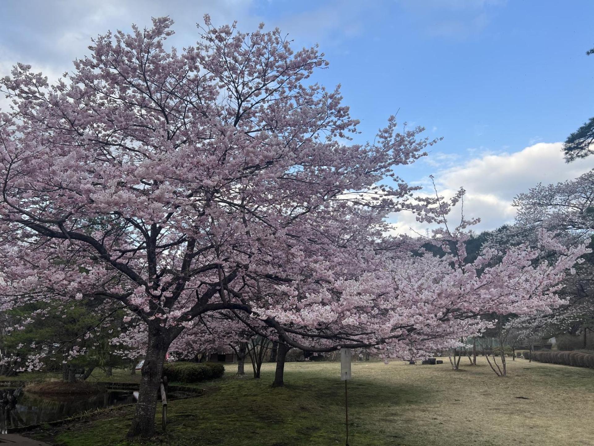 Kinugawa Keisui 호텔 닛코 시 외부 사진