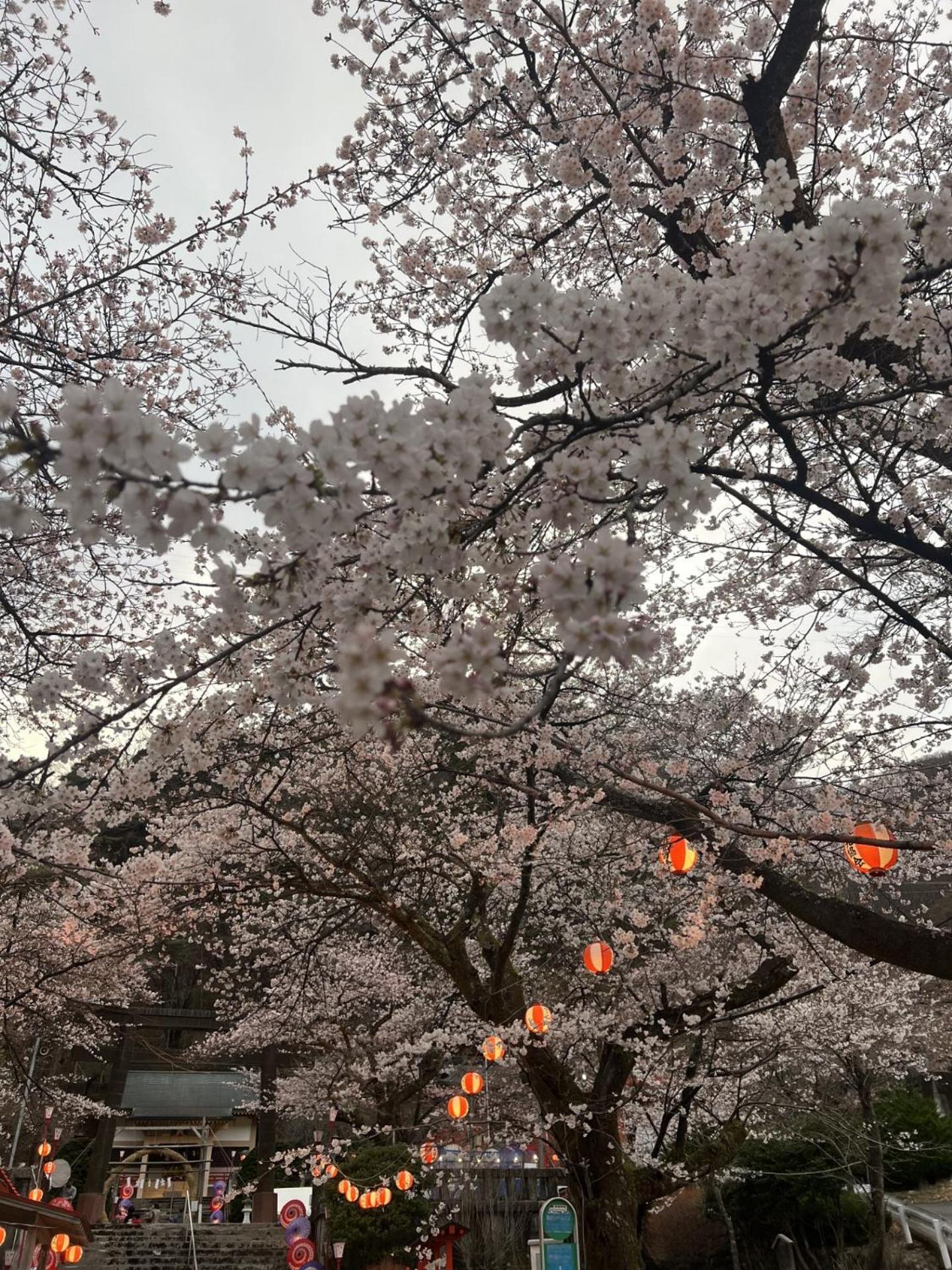 Kinugawa Keisui 호텔 닛코 시 외부 사진